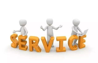 信息咨询服务业质量部为何质量问题频发 深层原因与改进路径